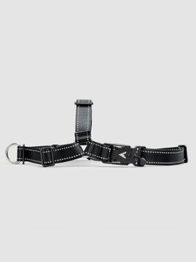 Atlas Pet Company Lifetime Dog Harness (M)